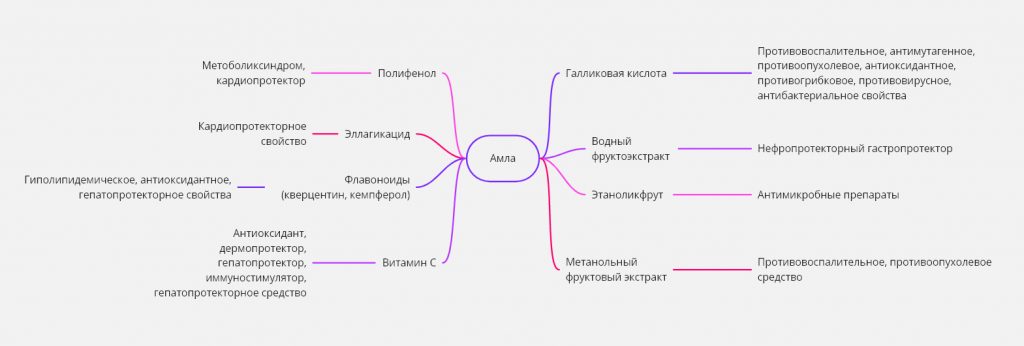 амла химический состав