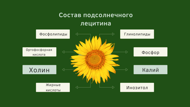 Лецитин подсолнечное масло