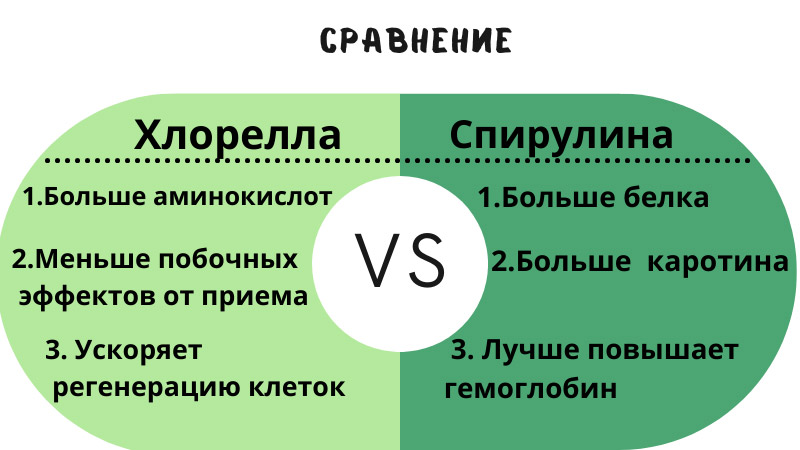 сравнение хлореллы и спирулины