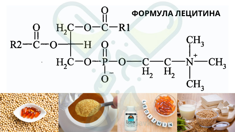 формула лецитина соевого